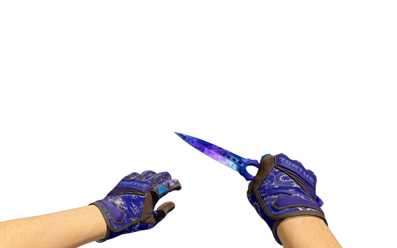 Skeleton Knife Doppler Phase 3 with Cloud Chaser Specialist Gloves CS2 skin combo