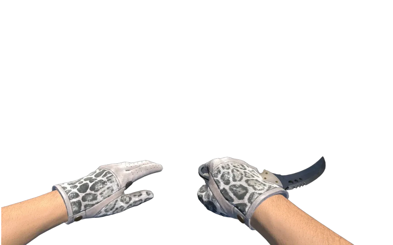 Talon Knife with Snow Leopard Driver Gloves CS2 skin combo