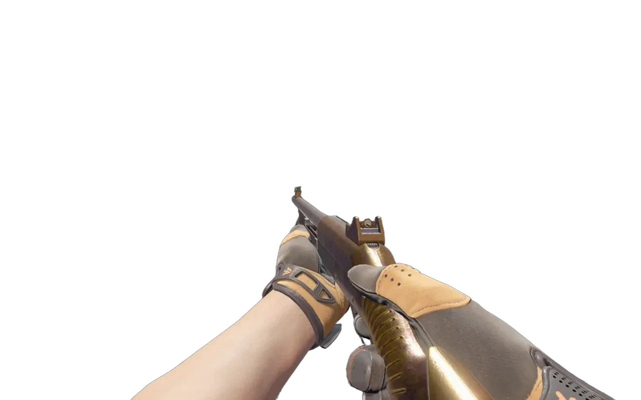 Nova Yorkshire with Big Game Sport Gloves CS2 skin combo