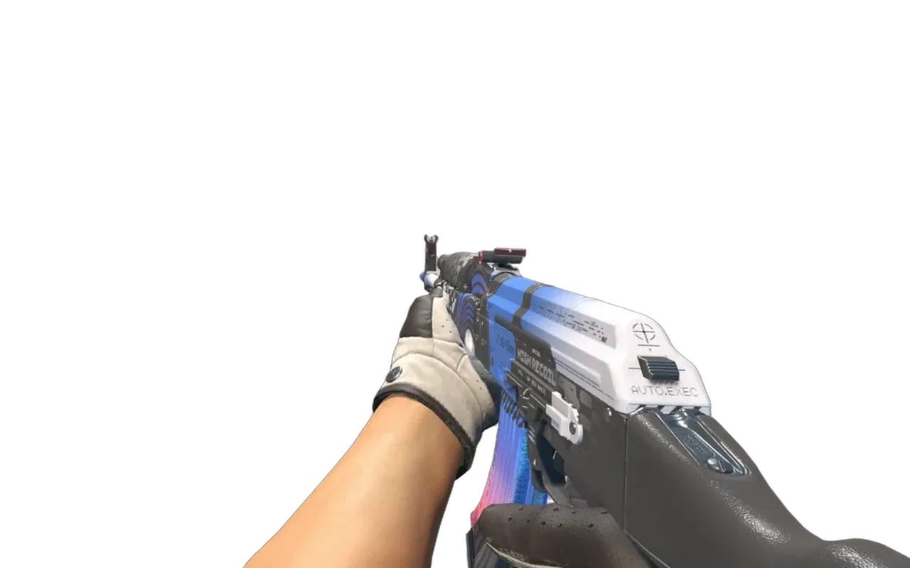 AK-47 AUTOEXEC with Black Tie Driver Gloves CS2 skin combo
