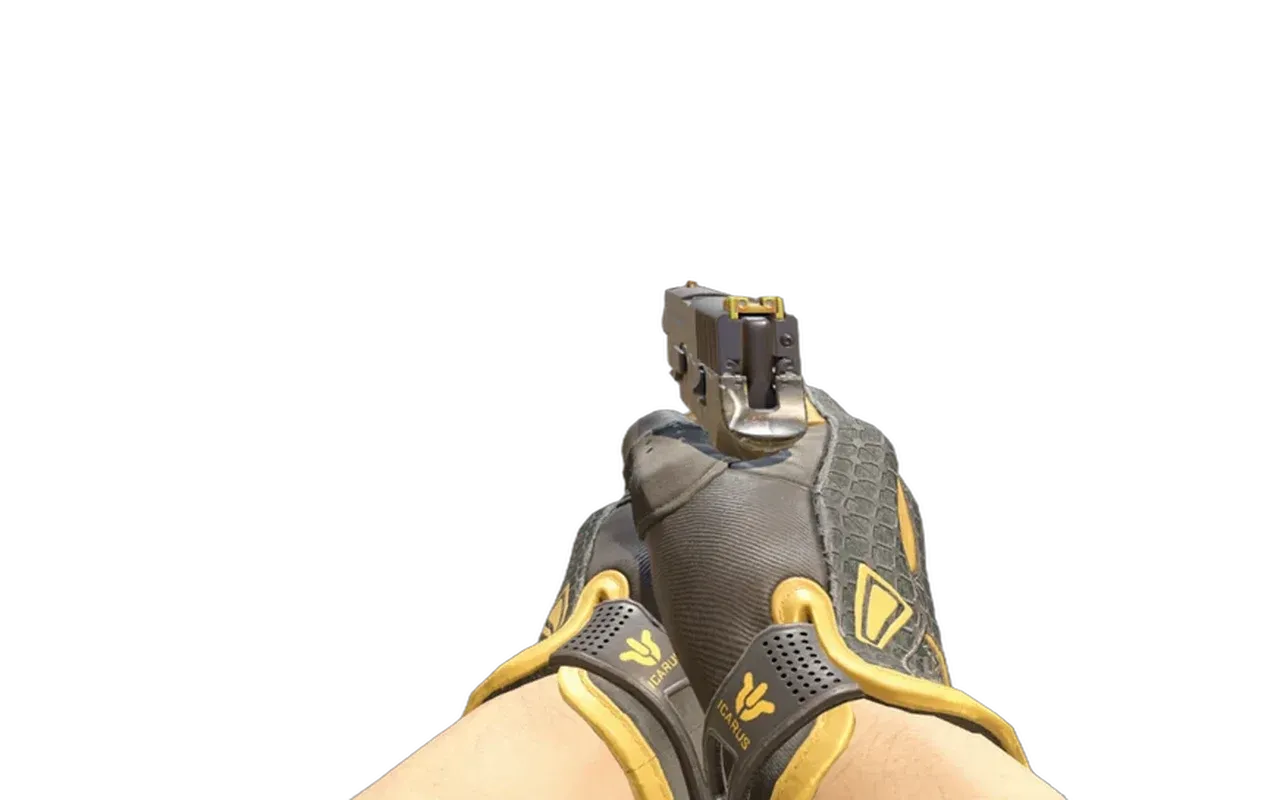 P250 Small Game with Omega Sport Gloves CS2 skin combo