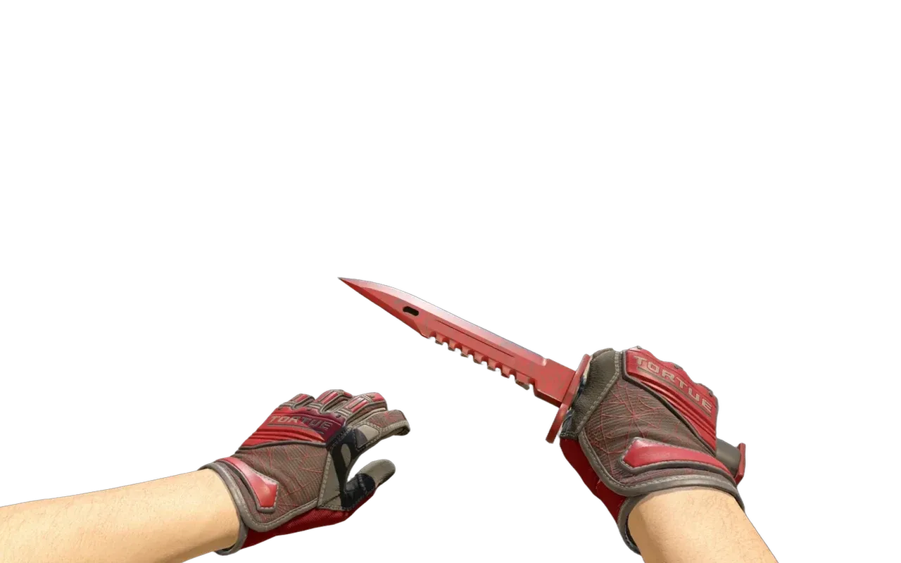 M9 Bayonet Crimson Web with Crimson Web Specialist Gloves CS2 skin combo