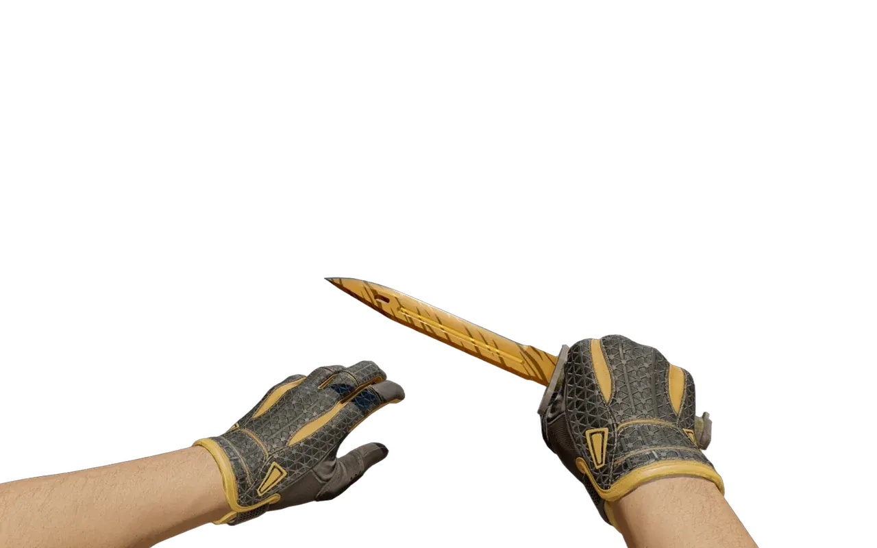 Bayonet Tiger Tooth with Omega Sport Gloves CS2 skin combo