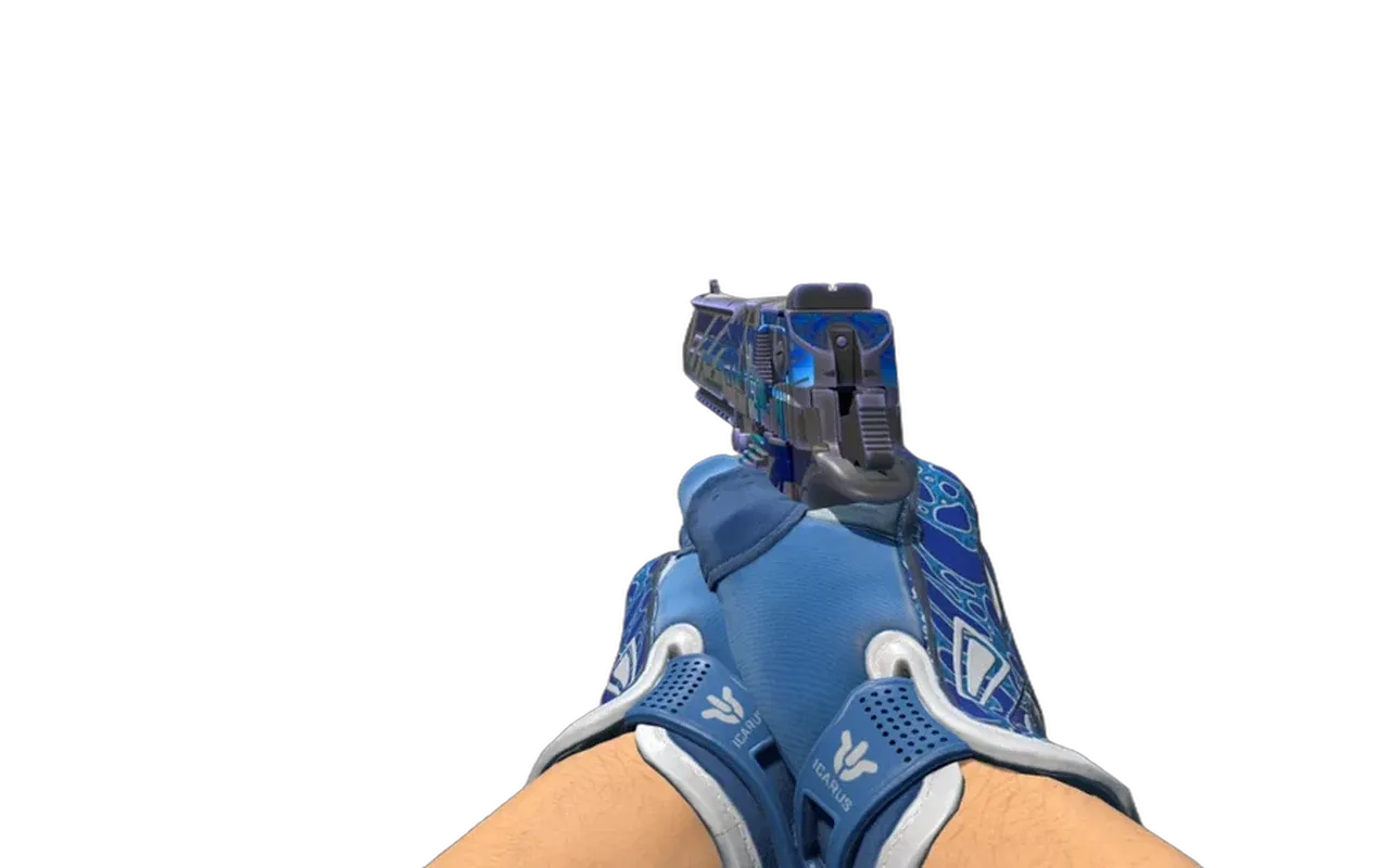Desert Eagle Eastern Enigma with Amphibious Sport Gloves CS2 skin combo
