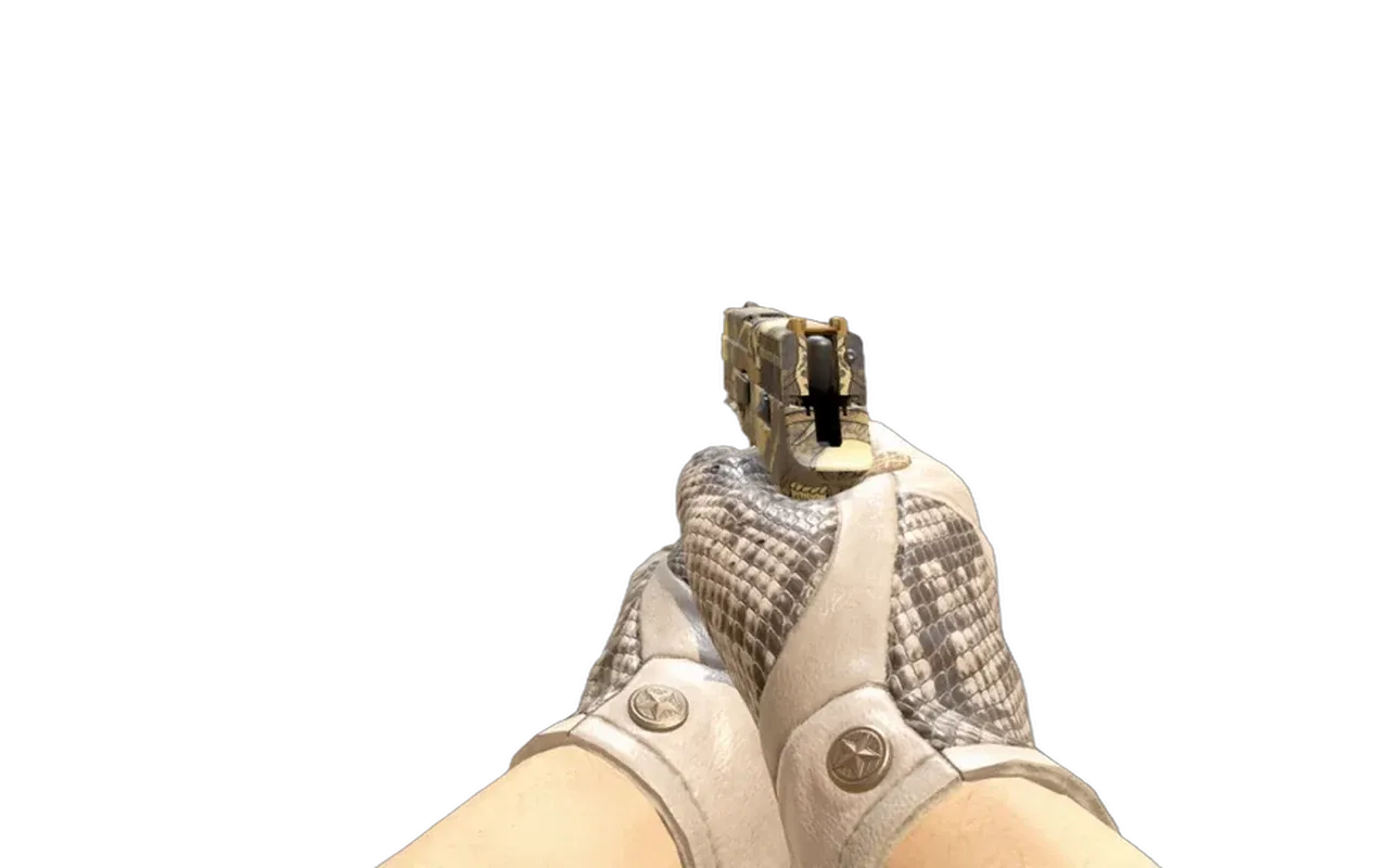 P250 Contamination with King Snake Driver Gloves CS2 skin combo