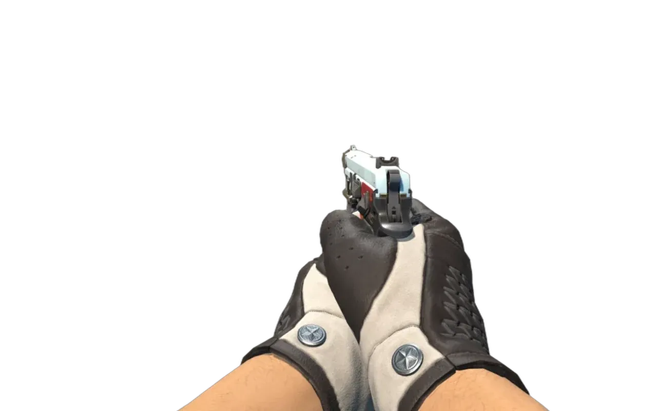 CZ75-Auto Hydraulics with Black Tie Driver Gloves CS2 skin combo