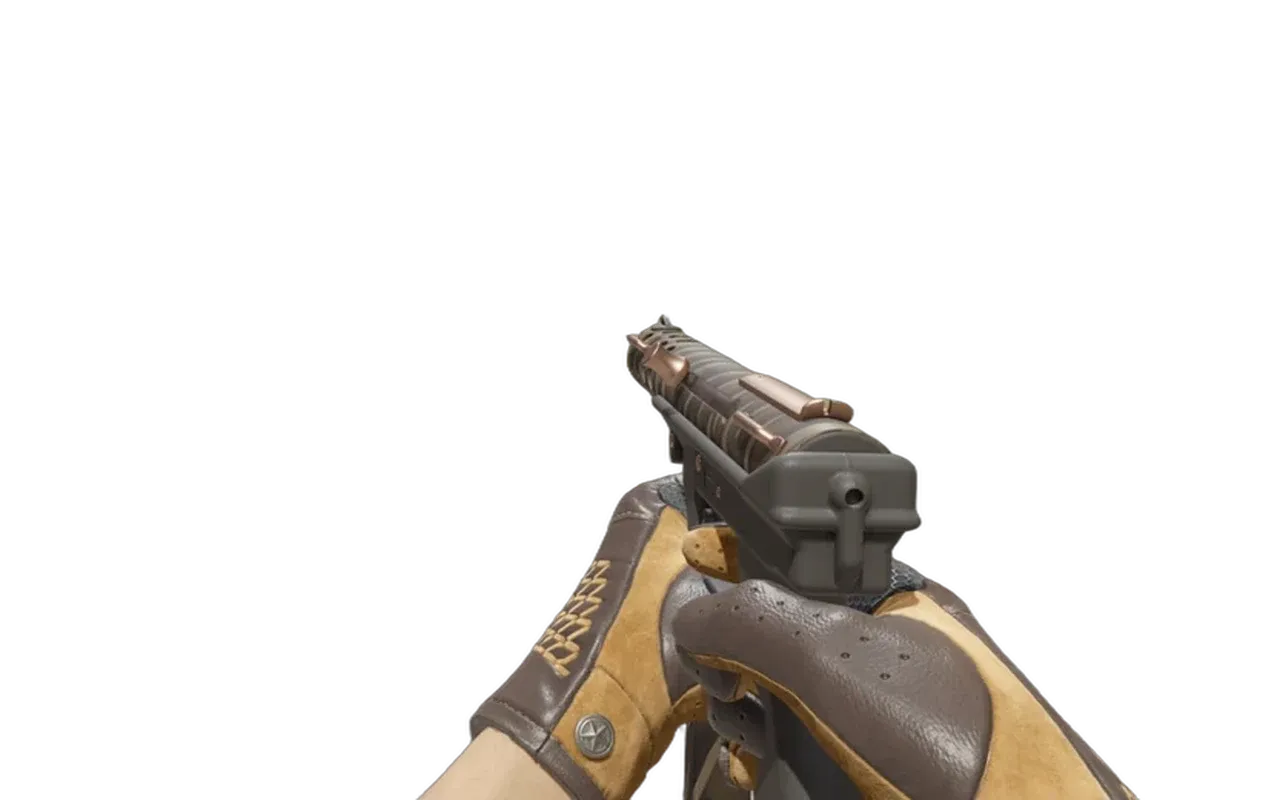 Tec-9 Tiger Stencil with Queen Jaguar Driver Gloves CS2 skin combo