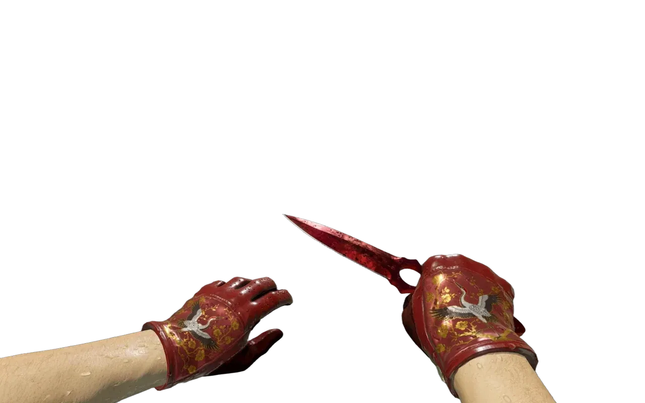 Skeleton Knife Doppler Ruby with Brocade Crane Driver Gloves CS2 skin combo