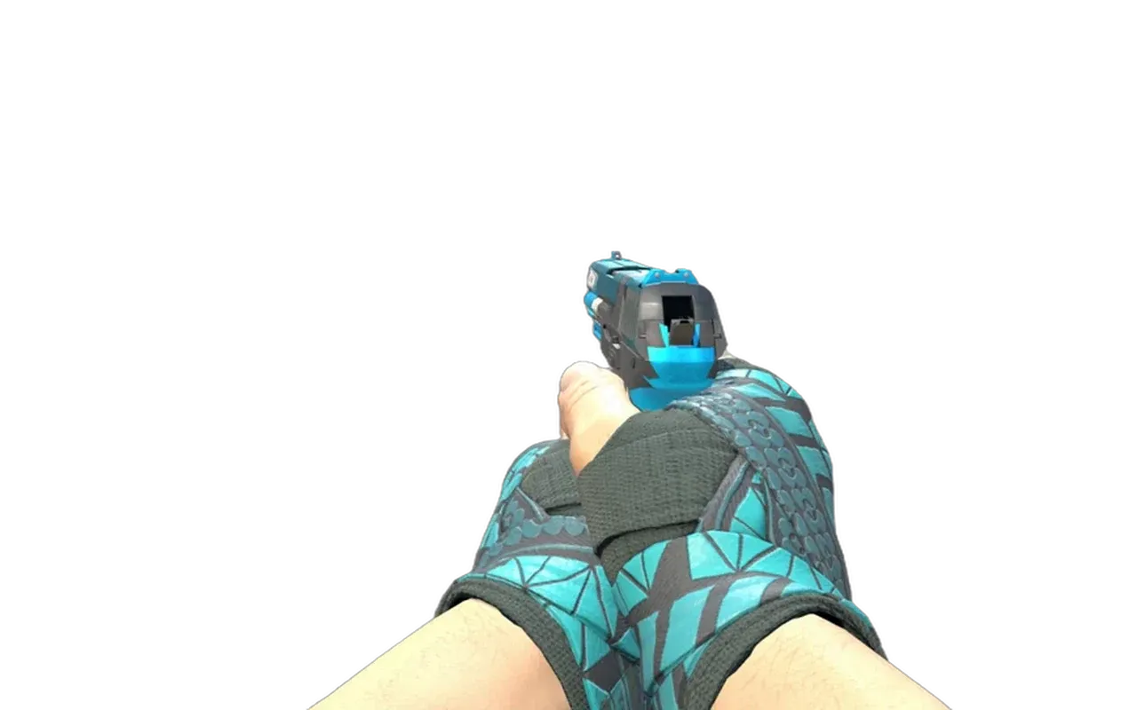 P2000 Handgun with Overprint Hand Wraps CS2 skin combo