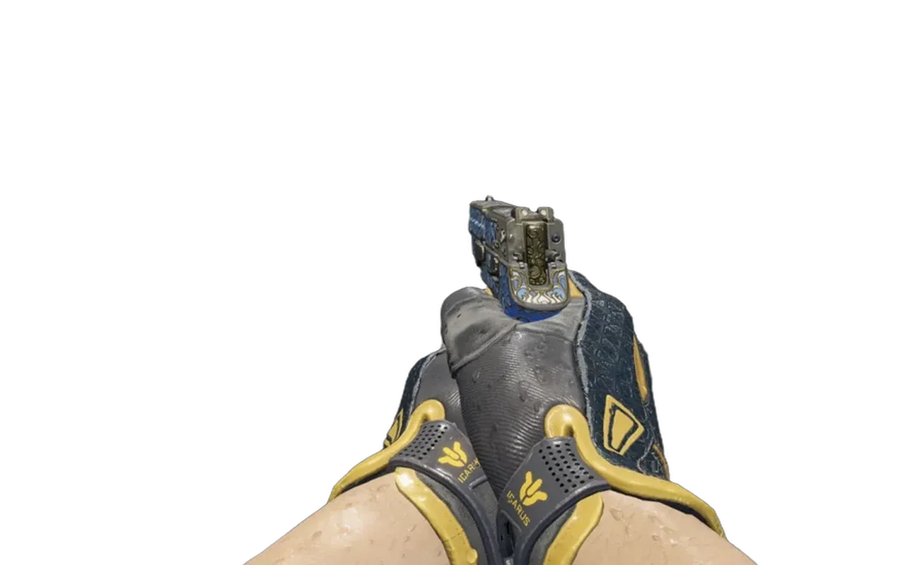 P250 Lotus Imprint with Omega Sport Gloves CS2 skin combo