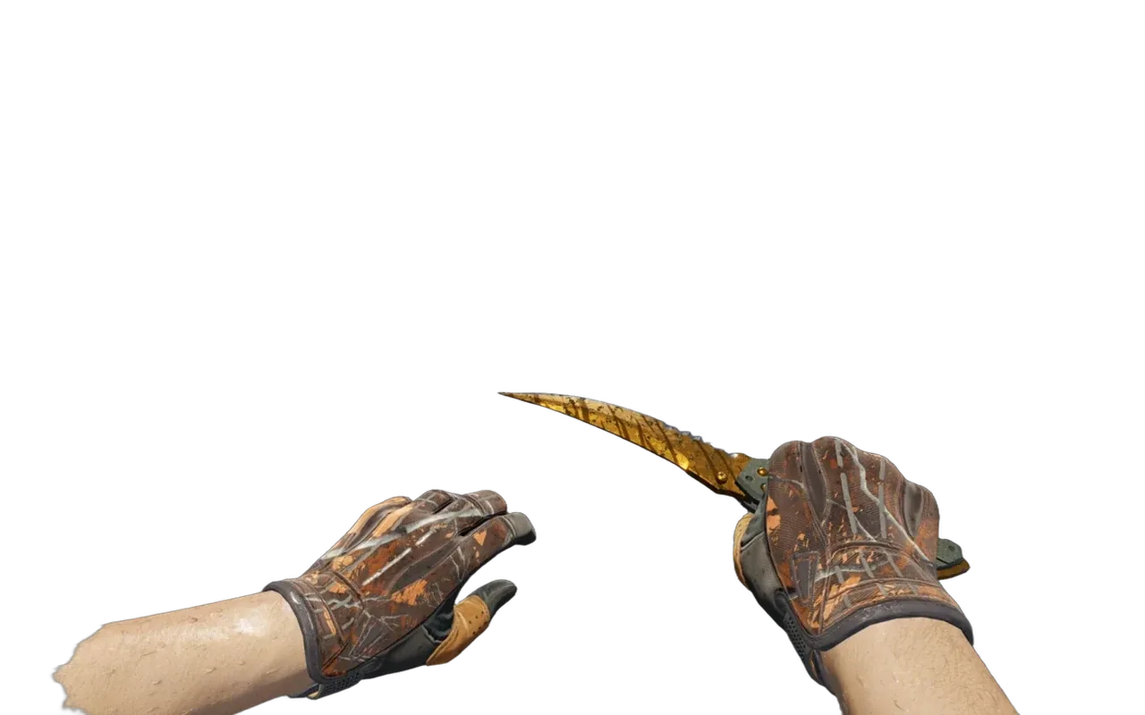 Flip Knife Lore with Big Game Sport Gloves CS2 skin combo