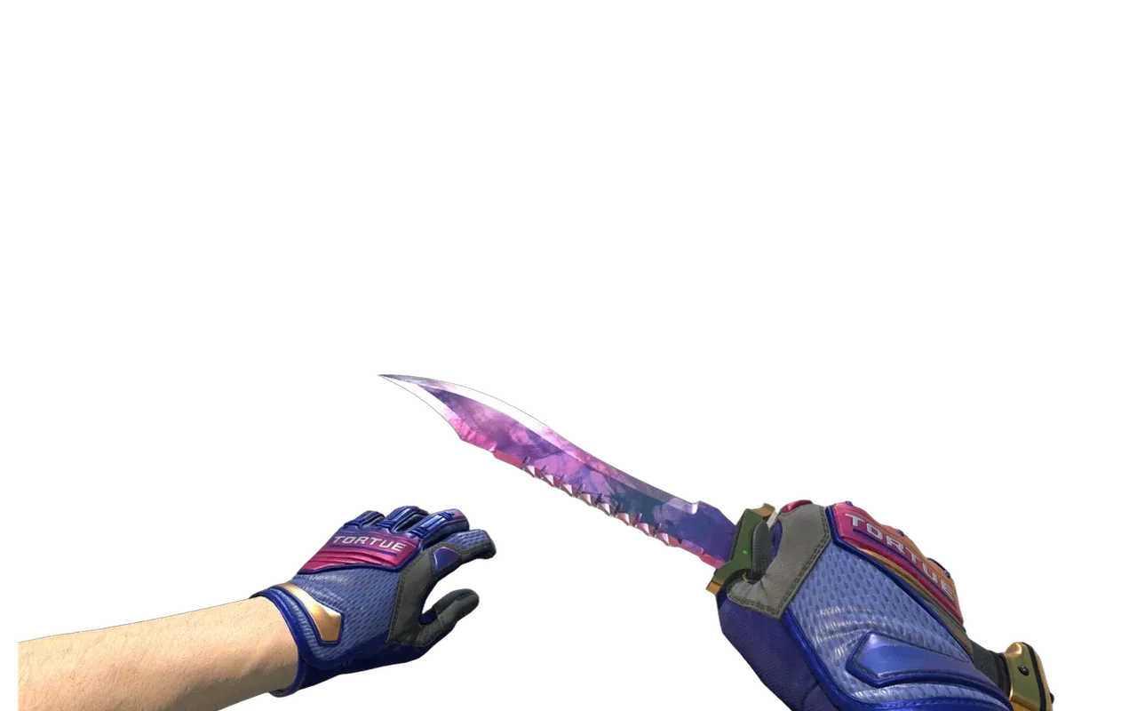 Bowie Knife Doppler Phase 2 with Fade Specialist Gloves CS2 skin combo