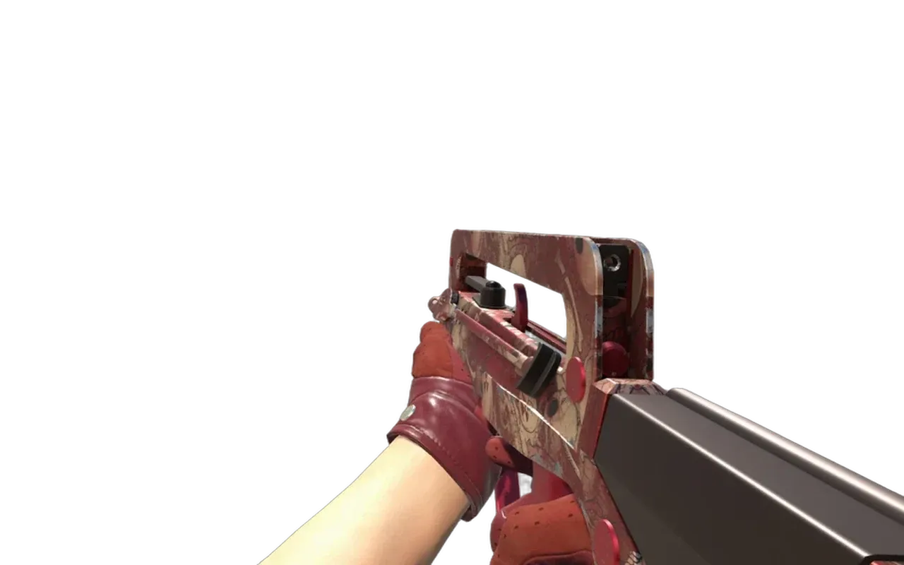 FAMAS Styx with Brocade Crane Driver Gloves CS2 skin combo