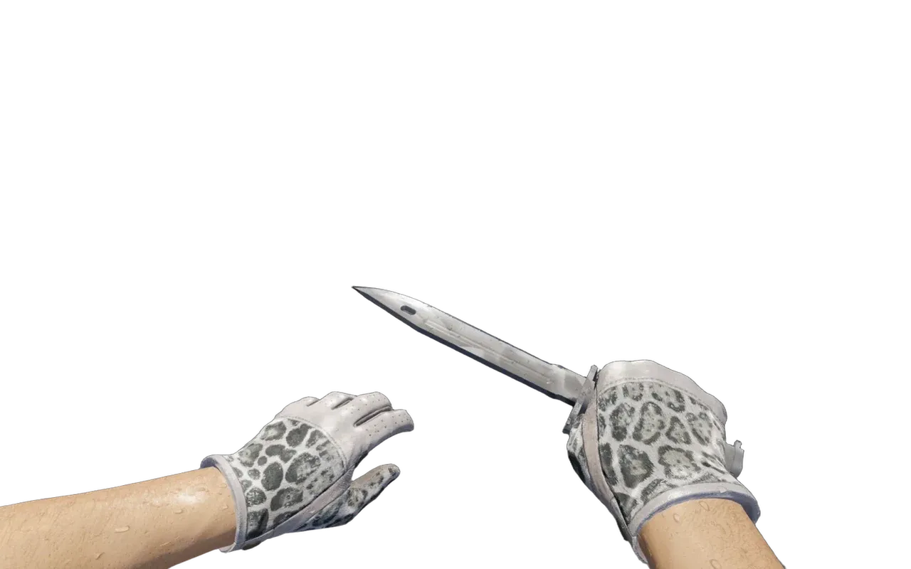 Bayonet Urban Masked with Snow Leopard Driver Gloves CS2 skin combo