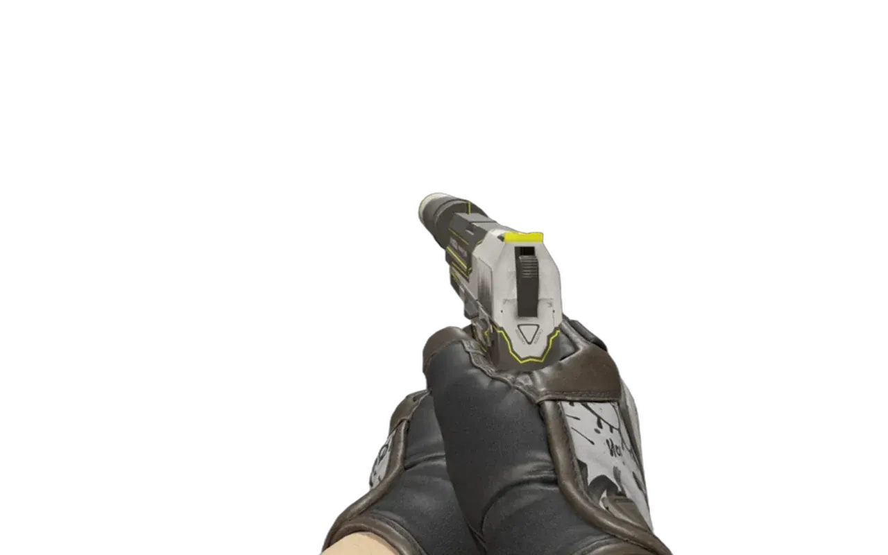 USP-S Torque with Blackbook Specialist Gloves CS2 skin combo