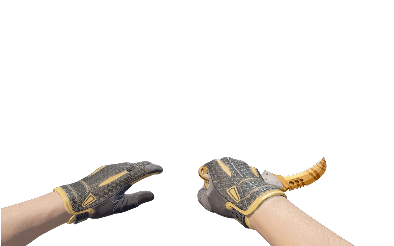 Talon Knife Tiger Tooth with Omega Sport Gloves CS2 skin combo