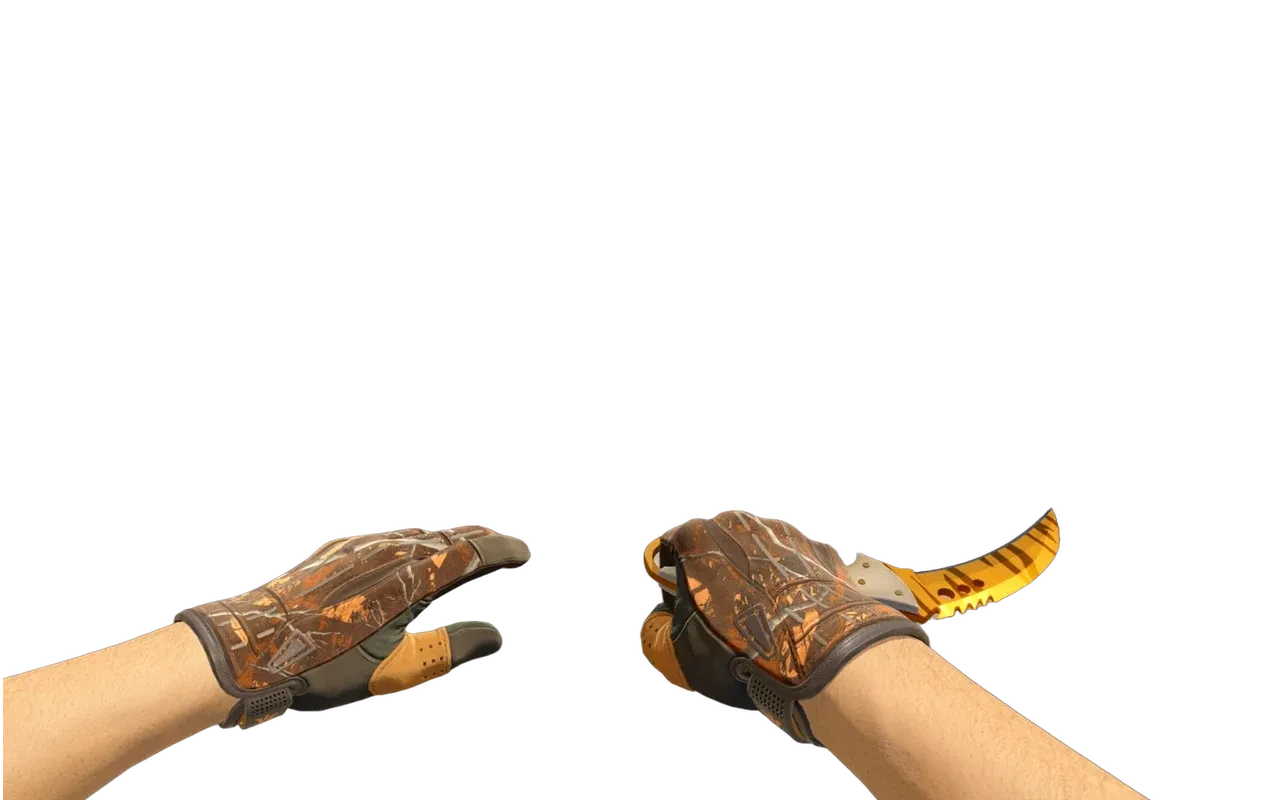 Talon Knife Tiger Tooth with Big Game Sport Gloves CS2 skin combo