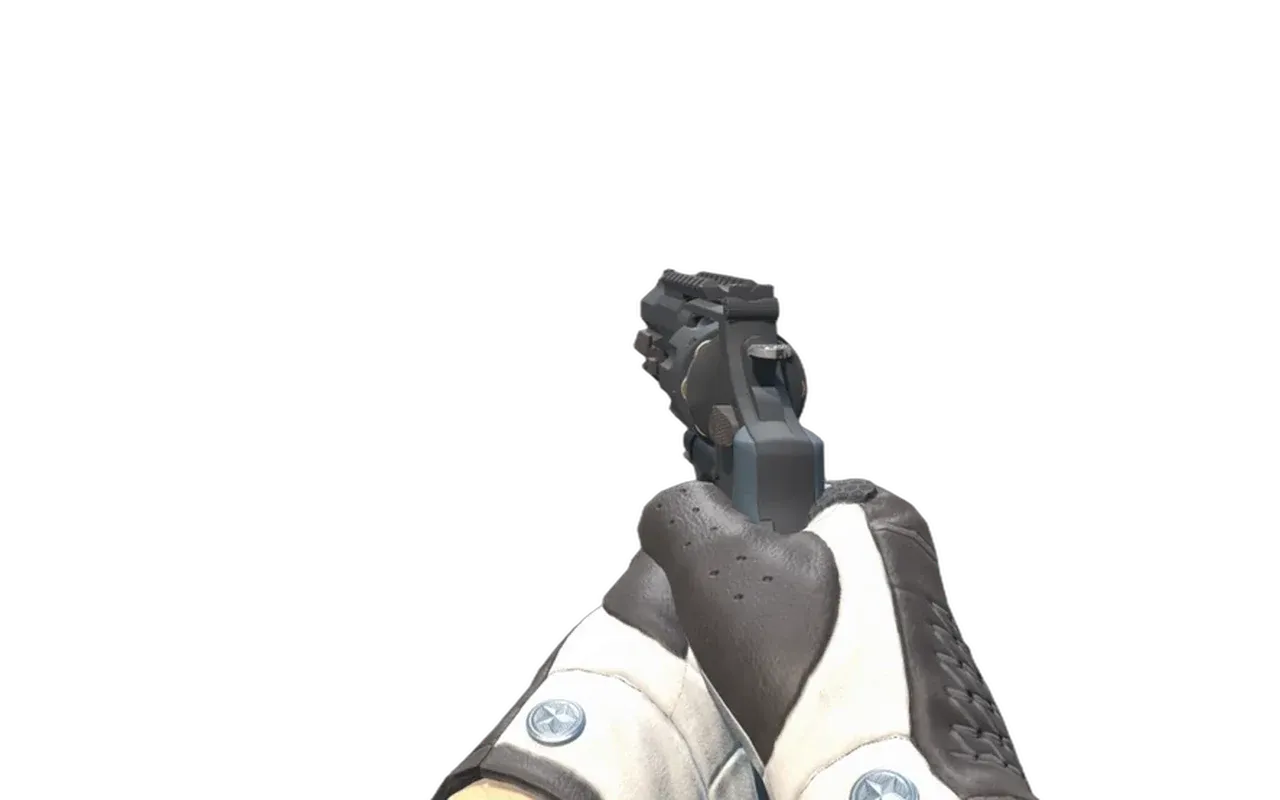 R8 Revolver Night with Black Tie Driver Gloves CS2 skin combo