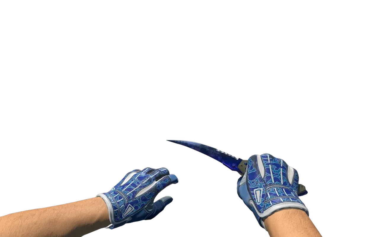 Flip Knife Doppler Phase 3 with Amphibious Sport Gloves CS2 skin combo