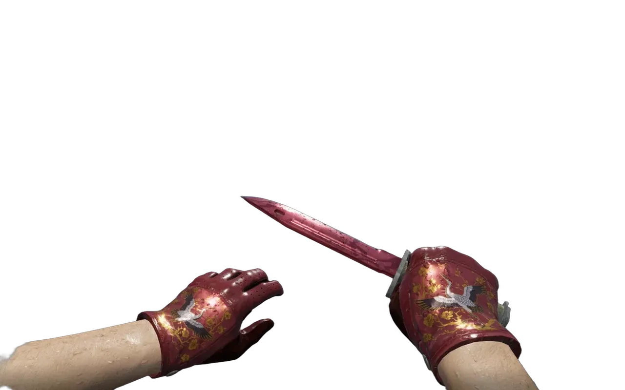 M9 Bayonet Slaughter with Brocade Crane Driver Gloves CS2 skin combo