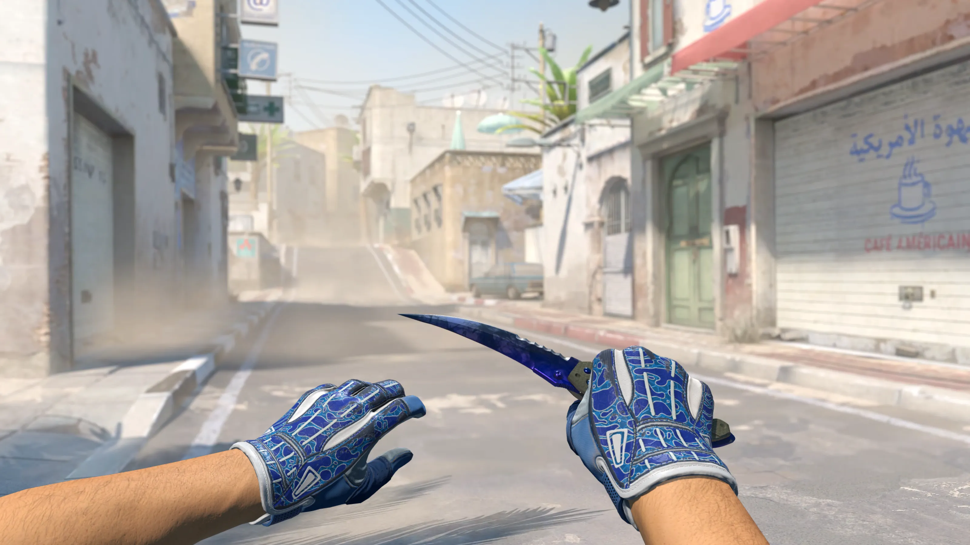 Flip Knife Doppler Amphibious Gloves, CS2 skin combo screenshot
