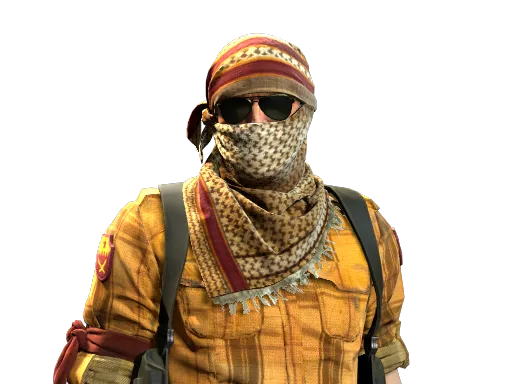 Ground Rebel, CS2 Terrorist agent skin