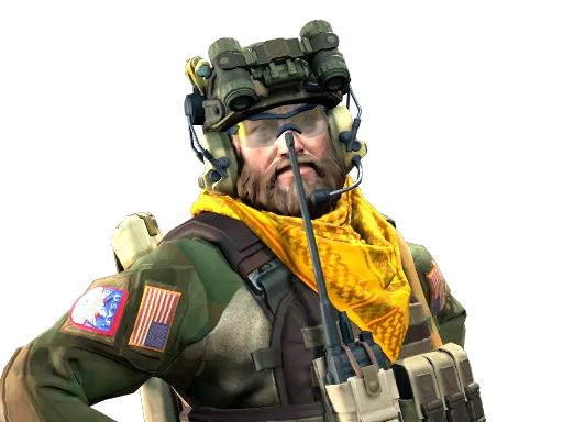'Two Times' McCoy, CS2 Counter-Terrorist agent skin