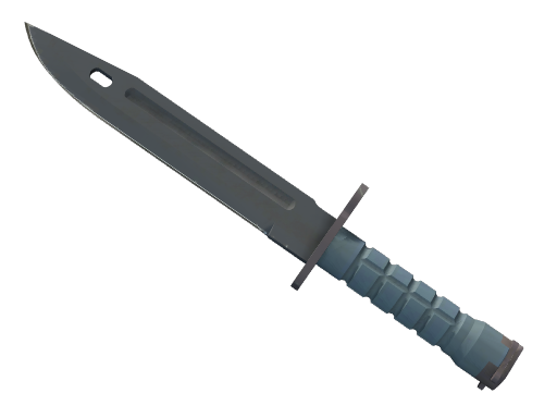 Bayonet | Night, CS2 Bayonet skin