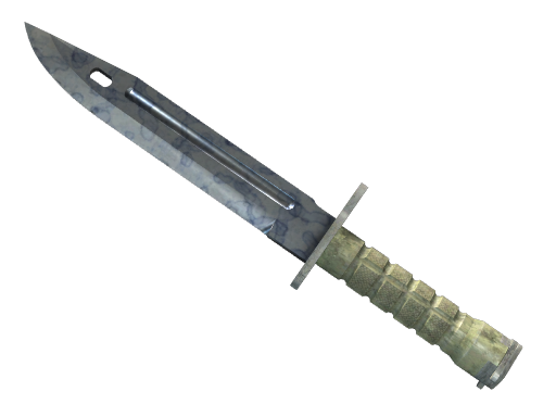 Bayonet | Stained, CS2 Bayonet skin