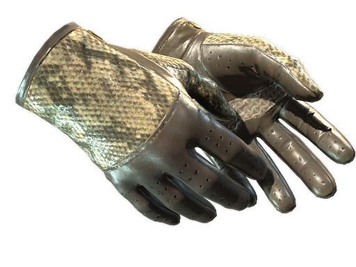 Driver Gloves | Diamondback, CS2 Driver Gloves skin