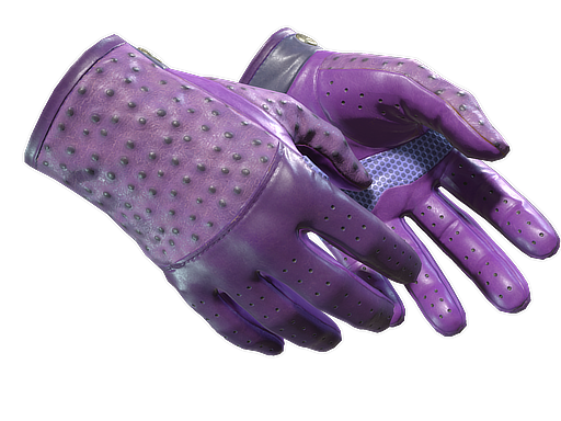 Driver Gloves | Plum Quill, CS2 Driver Gloves skin