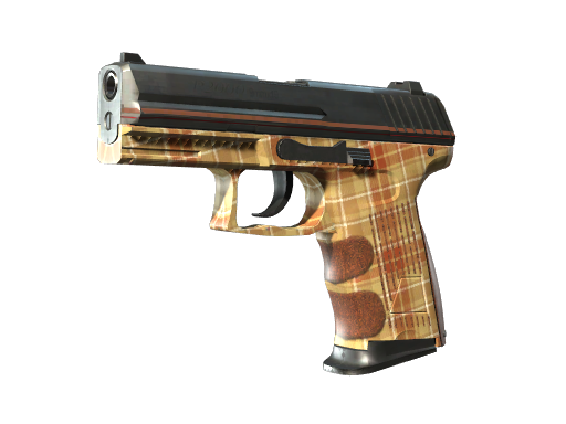 P2000 | Coach Class, CS2 P2000 skin
