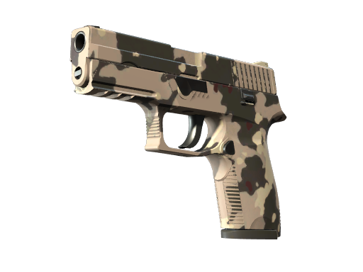 P250 | Black & Tan, CS2 P250 skin