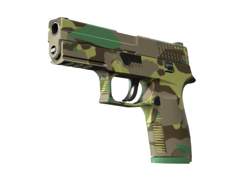 P250 | Boreal Forest, CS2 P250 skin