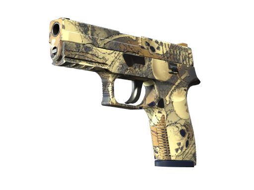 P250 | Contamination, CS2 P250 skin