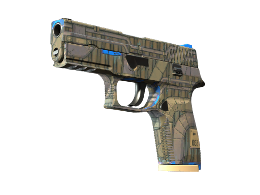 P250 | Exchanger, CS2 P250 skin
