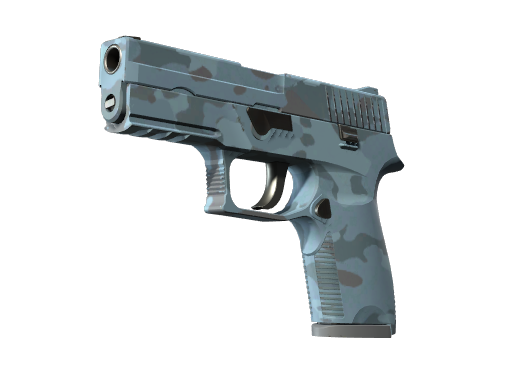 P250 | Forest Night, CS2 P250 skin