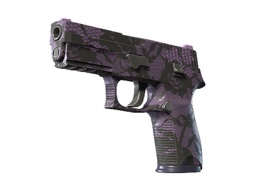 P250 | Plum Netting, CS2 P250 skin