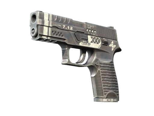 P250 | Re.built, CS2 P250 skin