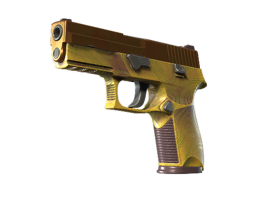P250 | Sedimentary, CS2 P250 skin