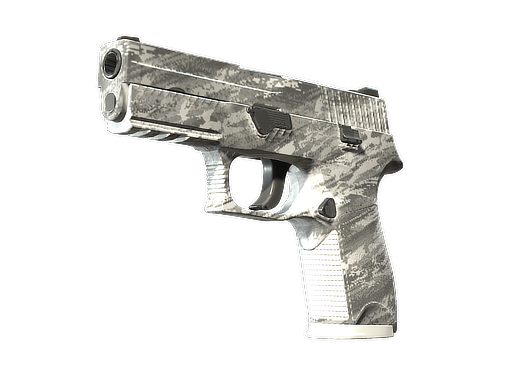 P250 | Sleet, CS2 P250 skin