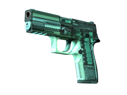 P250 | X-Ray, CS2 P250 skin
