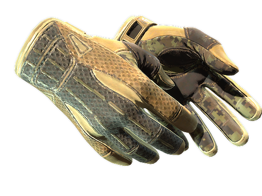 Sport Gloves | Arid, CS2 Sport Gloves skin